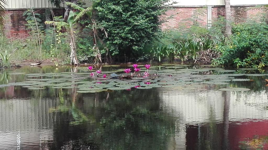 Golden Premier Villa Siem Reap Bagian luar foto